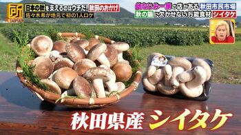 佐々木希「おかげですシリーズ」で故郷・秋田県へロケ初出動！シイタケ団地を紹介