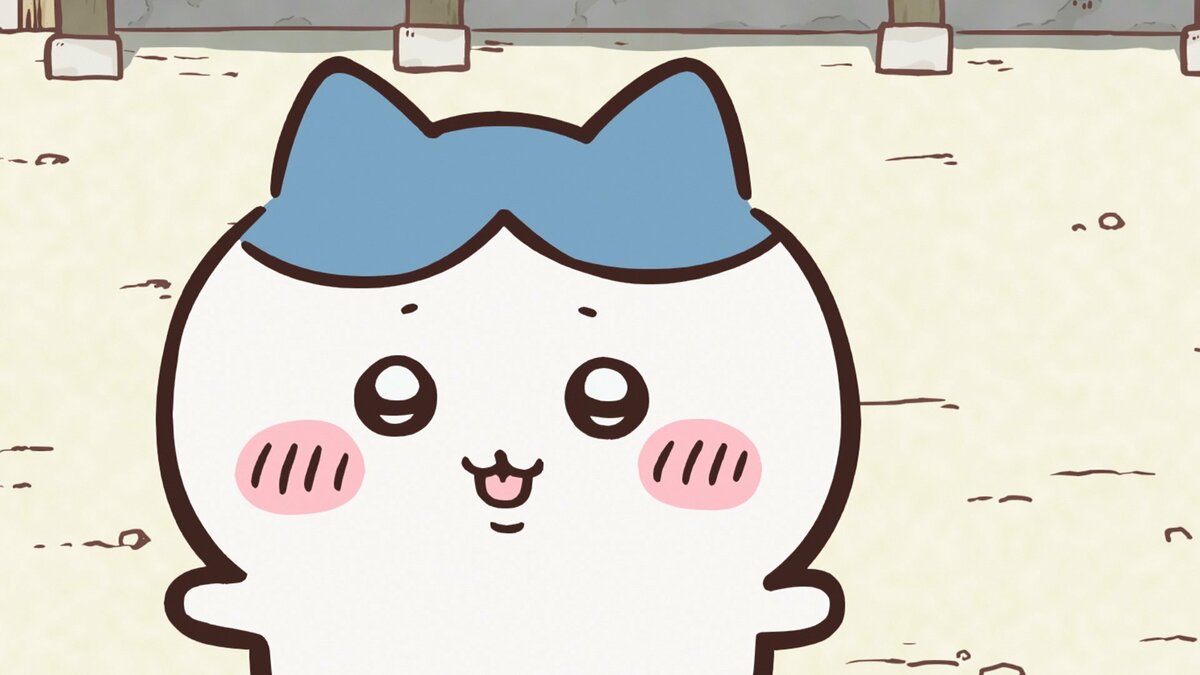 アニメ『ちいかわ』 第298話「拾魔⑧」 | めざましmedia | “好き”で