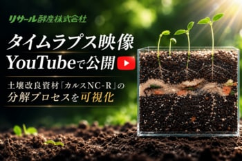 土のなかで何が起きているのか？「微生物による有機物分解」の9日間