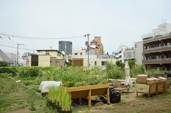 原宿の国有地に期間限定の菜園＆コミュニティコンポストを設営。都市での資源循環の実践を振り返る「原宿はらっぱファーム」報告セミナーを4/18開催