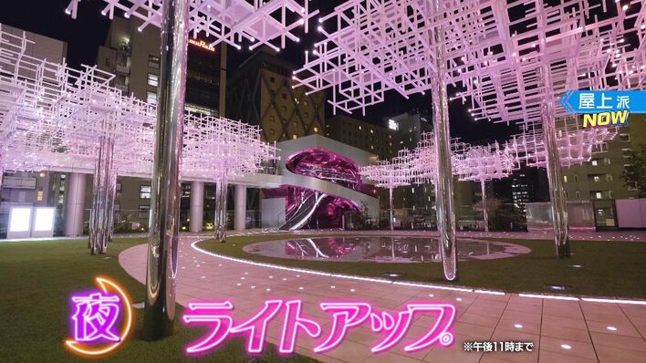 大橋和也着用 Acne Studios チェックツイル トラックジャケット 桜色 なにわ男子・大橋和也「春だ、お花見だ、（都心で）ピクニックだ