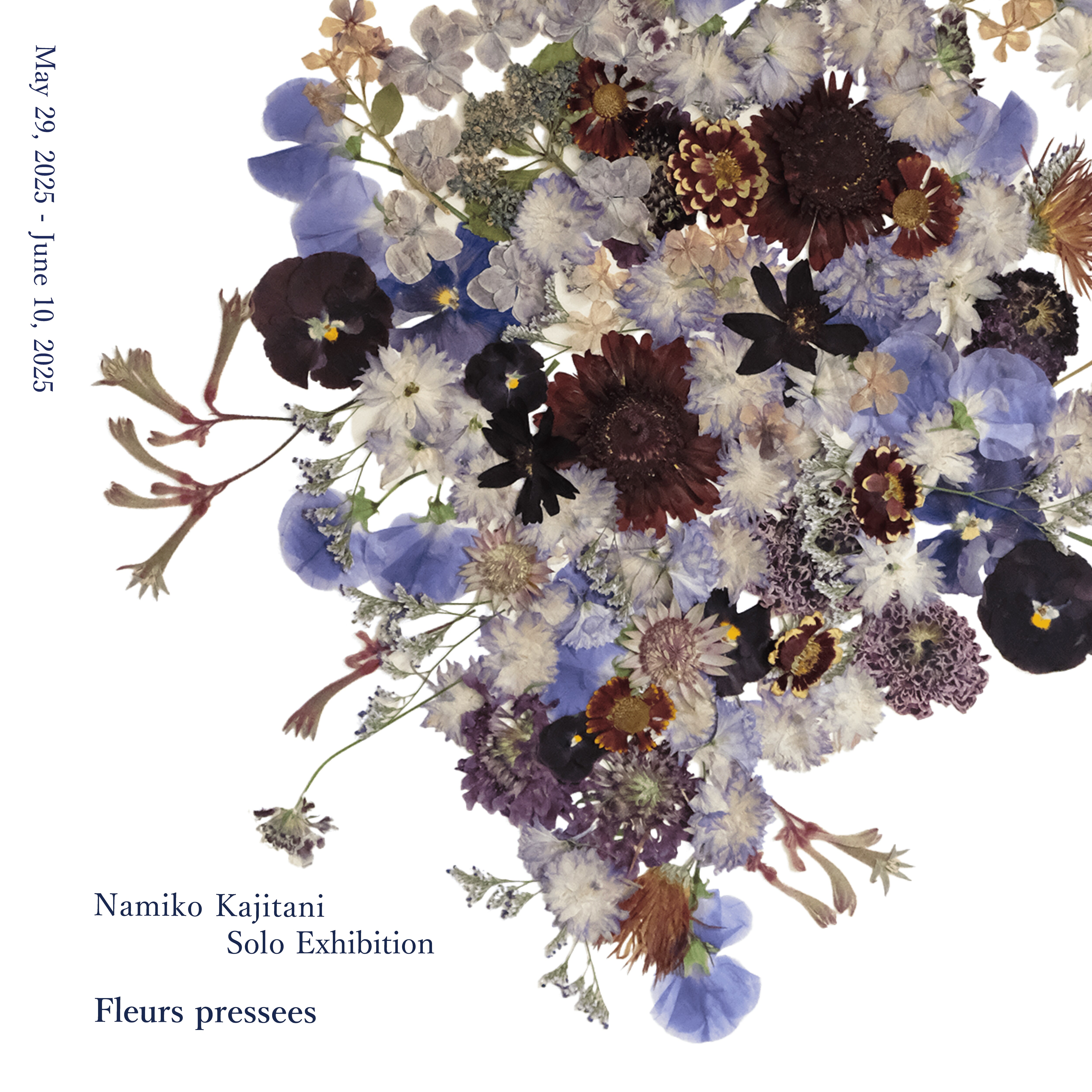 img_b935ee006c9baca42a2dc2e19f