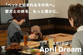  「ペットと泊まれるその先へ」愛犬との旅を、もっと自然に。やま星が描く新しい旅のカタチ