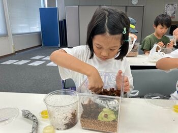【こどもの休日の過ごし方】ファーブル昆虫教室　～オオククワガタ編～