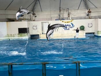 【登別石水亭】キッズが主役！2大プランをご紹介！！