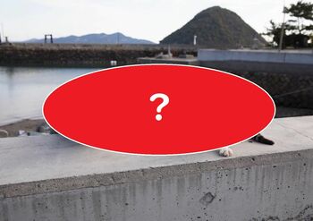 まるで漫画の1コマ！“二度と撮れない”2匹の猫の負けられない戦いに15万いいねの大反響【激かわアニマル奇跡の瞬間 年末スペシャル】