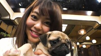 “パグパン”こと杉原アナがついにパグ犬とご対面！その特徴を聞き…