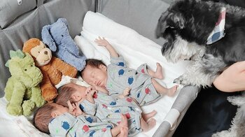 「ワタシの子分達です！」三つ子の赤ちゃんとワンコの記念写真が話題！頼もしい姿勢にも注目【激かわキッズ＆アニマル奇跡の瞬間】