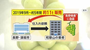 【怒り】ふるさと納税のシャインマスカット“産地偽装”　長野県産のはずが山形県産？「農家をばかにしている」・長野県須坂市