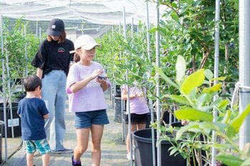 【千葉県市原市】「幻のブルーベリー」を含む日本有数、全45品種を食べ比べる！ 親子で楽しむキャンペーンも同時開催