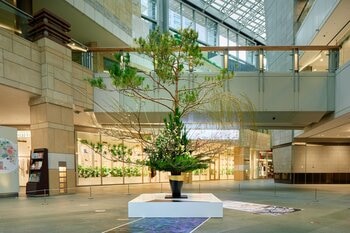 2026年新春を飾るいけばなと写真のインスタレーションアート体験を六本木ヒルズで！2026年1月７日(水) 23時まで