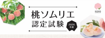 桃の魅力を伝える人材を山梨から全国へ　日本一の桃産地・山梨県が「桃ソムリエ」認定試験を初実施