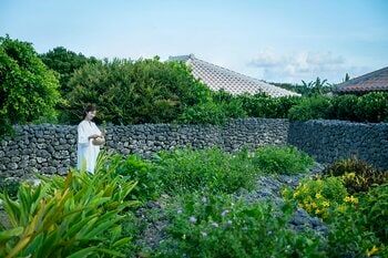 【星のや竹富島】冬の寒さや春の花粉と無縁の沖縄・竹富島で、健やかな身体へと導く「命草（ぬちぐさ）ゆくい滞在」提供
