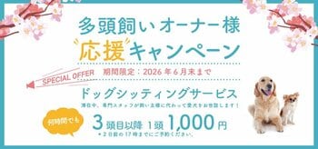 【最大５頭まで愛犬宿泊料金無料！】愛犬とのリゾート滞在をさらに快適・お得に。富士山麓、フジプレミアムリゾート・フォレストヴィレッジ「多頭飼いオーナー様 応援キャンペーン」を開始
