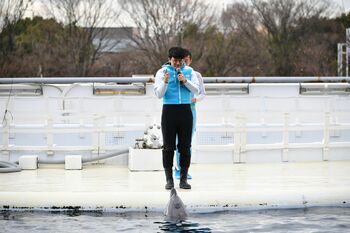 ミキ・亜生、イルカのテンちゃんと絶妙な漫才を見せる