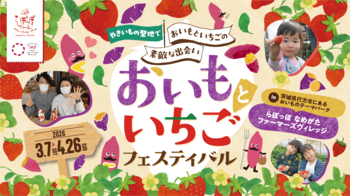 【茨城】いちご摘み放題と“おいもスイーツ”体験イベント開催　3月7日から春限定フェス 「おいもといちごフェスティバル」inらぽっぽ なめがたファーマーズヴィレッジ