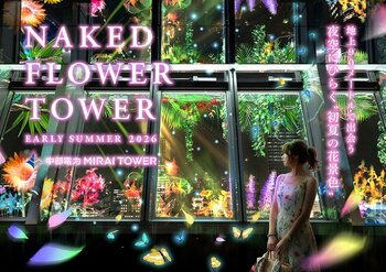名古屋の夜景×ネイキッド360°に初夏の花が咲き誇る、五感で楽しむマッピングショー