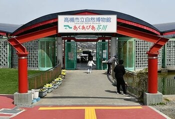 高槻市の自然博物館で身近な生き物「ダンゴムシ」が主役の企画展開催