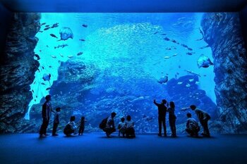 東日本大震災から15年。宮城の「今」を知る。