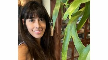 森泉 自宅のおしゃれなダイニング披露！巨大な観葉植物が透明な黒テーブルの上に！？「めちゃくちゃデカい」「手入れが整っている証拠！」