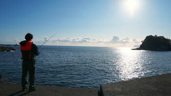 【高知県大月町】大月エコロジーキャンプ場が、「釣って、泊まる。春の海あそびキャンププラン」を発売中