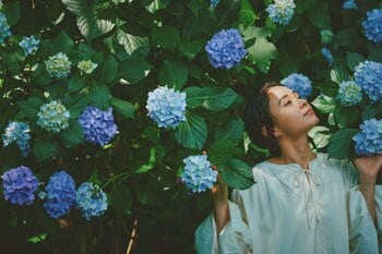 “涼”を感じる人気“アジサイスポット”神戸布引ハーブ園。園内3つのエリアに様々なロケーションの「アジサイのある風景」が登場。見ごろを迎えました。瑞々しい情景に心が涼みます。