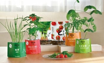 ポットにして、タネをまいて、育てて、収穫する。親子ではじめる野菜栽培キット「ベジパック」― パッケージがポットに変わる、食育にもつながる栽培体験 ―
