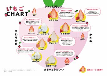 赤・白・ピンク！佐賀のいちご8品種を食べ比べ！！大人気イベントが3年ぶりに帰ってくる！！