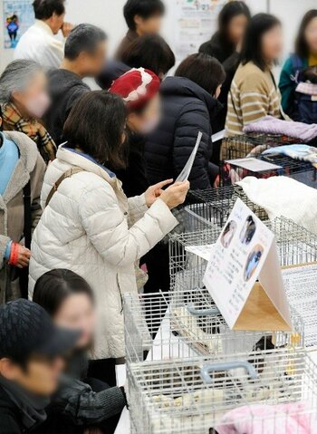 【名古屋市】 全国初の官・民・ボランティアが共創した保護犬・保護猫の大型譲渡会「わんにゃん出逢いフェス」を実施