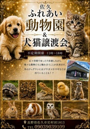【長野県佐久市】動物との「癒し」と「出会い」を創出する、新感覚の「佐久ふれあい動物園＆犬猫譲渡センター」が2026年6月20日オープン