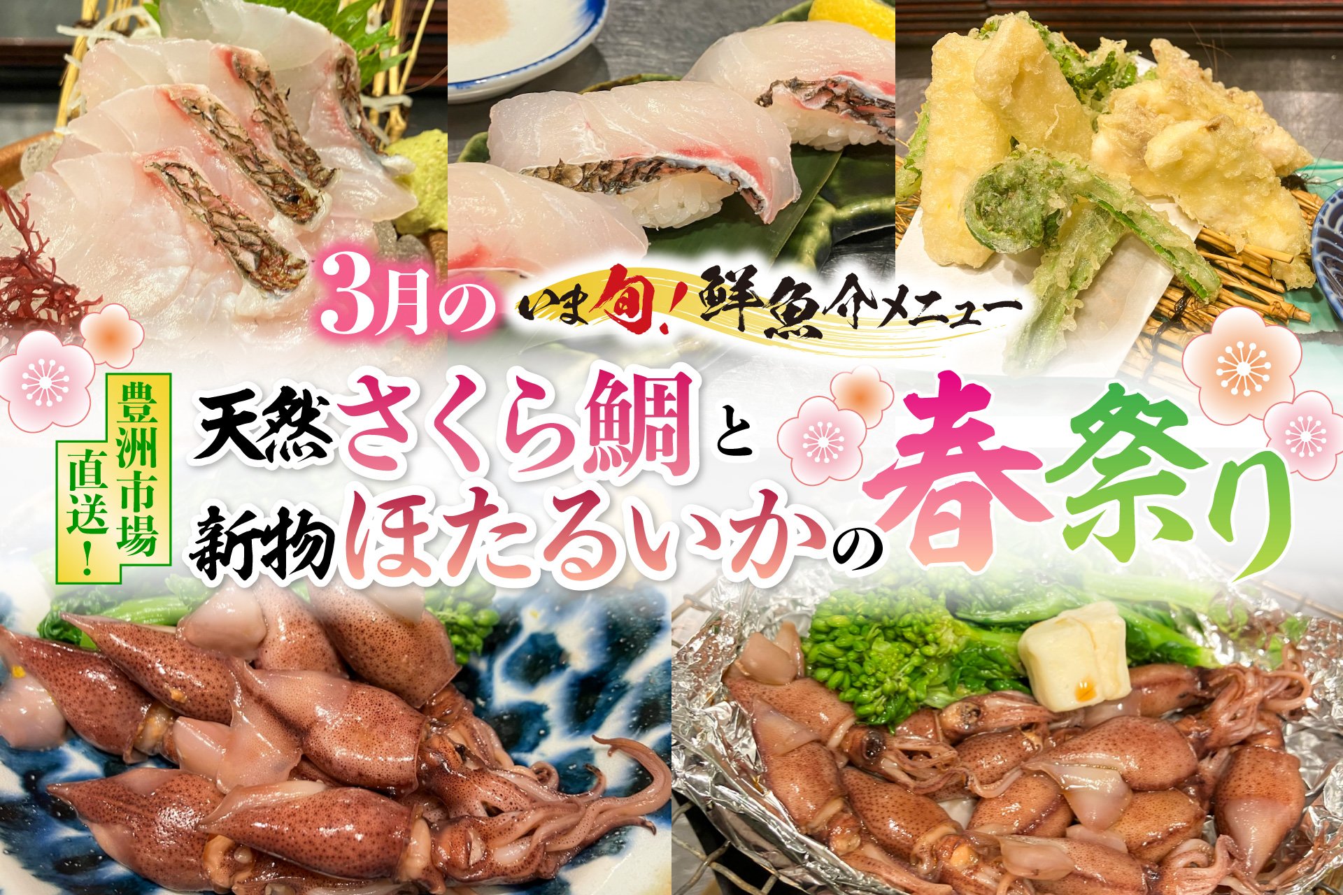 2026年3月限定“いま旬！”天然さくら鯛と新物ほたるいかの春祭り