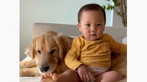 癒やされる人続出！心優しいゴールデン・レトリーバーが1歳の男の子を「泣くなよ〜」と慰める姿に「愛情深い子」「一生懸命」と反響【激かわアニマル奇跡の瞬間 年末スペシャル ゴールデン・レトリーバーDAY】