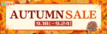 【いよいよ食欲の秋！】AUTUMN SALE開催！この季節にぴったりの贅沢グルメ、宮崎牛が期間限定＆特別価格で登場！ 秋の味覚を楽しむなら今がチャンス！早い者勝ち！