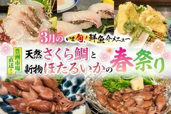 2026年3月限定“いま旬！”天然さくら鯛と新物ほたるいかの春祭り