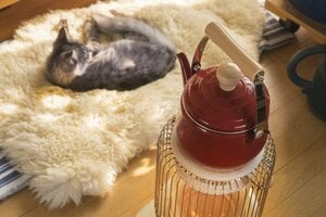 山田裕貴 室内温度をめぐり妻へ気遣い「暖房をつけたいけど妻が暑がりで…『そろそろ？』とタイミングを見計らってその気にさせる」