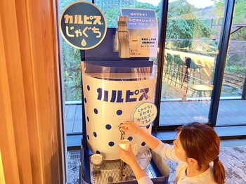 【箱根ホテル小涌園】アサヒ飲料協力のもと、箱根ホテル小涌園で七夕イベント！　箱根エリア初！「カルピス(R)じゃぐち」が七夕限定で無料に