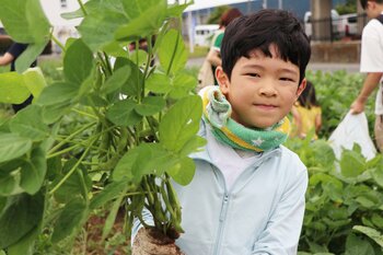 4月に種まきした枝豆やトウモロコシを収穫　伊勢崎市で心育む農業体験　7月11日（土）〔群馬〕