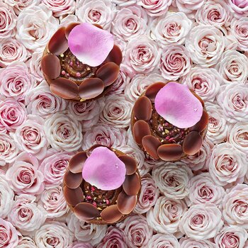 【ピエール・エルメ・パリ】直営ブティック 「ピエール・エルメ・パリ 日本橋高島屋S.C.」オープン