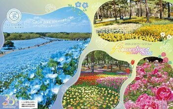 春のフラワーリレー「Flowering2026」を開催！（国営ひたち海浜公園）