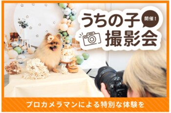 ペッツファースト「うちの子撮影会」開催のお知らせ