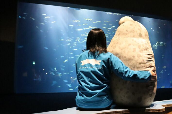 でっか…】実寸大！？特大のゴマフアザラシぬいぐるみにSNS騒然