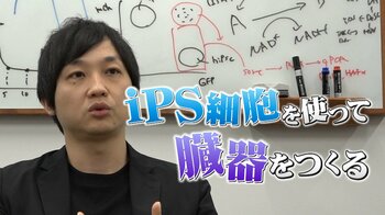【未来のノーベル賞候補】“ミニ肝臓”で世界が注目・武部貴則教授(38)『治せない』のその先を…学生時代はハデ髪ピアス？医師ではなく研究者になった理由