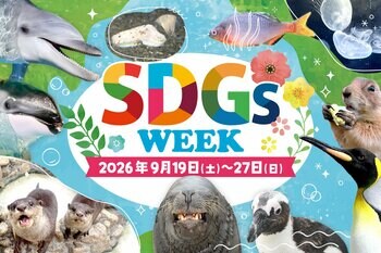 【横浜・八景島シーパラダイス】生きものの魅力や海の豊かさをより身近に感じよう！『シーパラ SDGs WEEK』【２０２６年９月１９日（土）～２７日（日）】