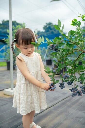 「自分で摘んでパクッ！」子どもの“やりたい”があふれる。子連れ家族来園率は驚異の76％！の元保健師と元保育士が想いを詰めた、遊んで育むブルーベリー狩り体験型農園【栃木県真岡市】