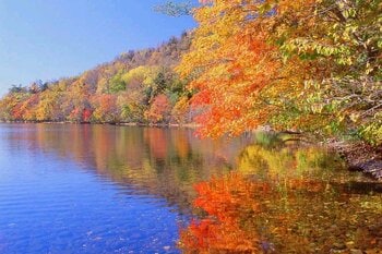 【北海道・弟子屈町】駆け抜けるだけではもったいない！紅葉に包まれる弟子屈（てしかが）の自然を満喫するアクティビティ