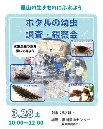 親子で里山の生きものにふれよう「ホタルの幼虫調査・観察会」開催（兵庫・川西）