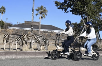 和歌山発 glafit × アドベンチャーワールド がコラボレーション　電動バイクで駆ける新ツアー「サファリ Eバイククルーズ」