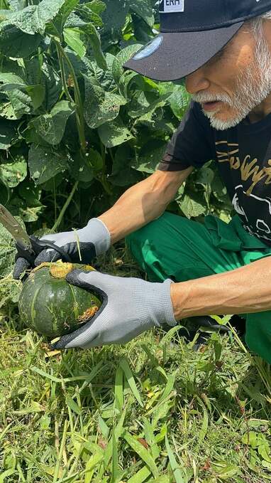 片岡鶴太郎 本格自家農園で“まさかの実り”を収穫！自然に芽を出し立派