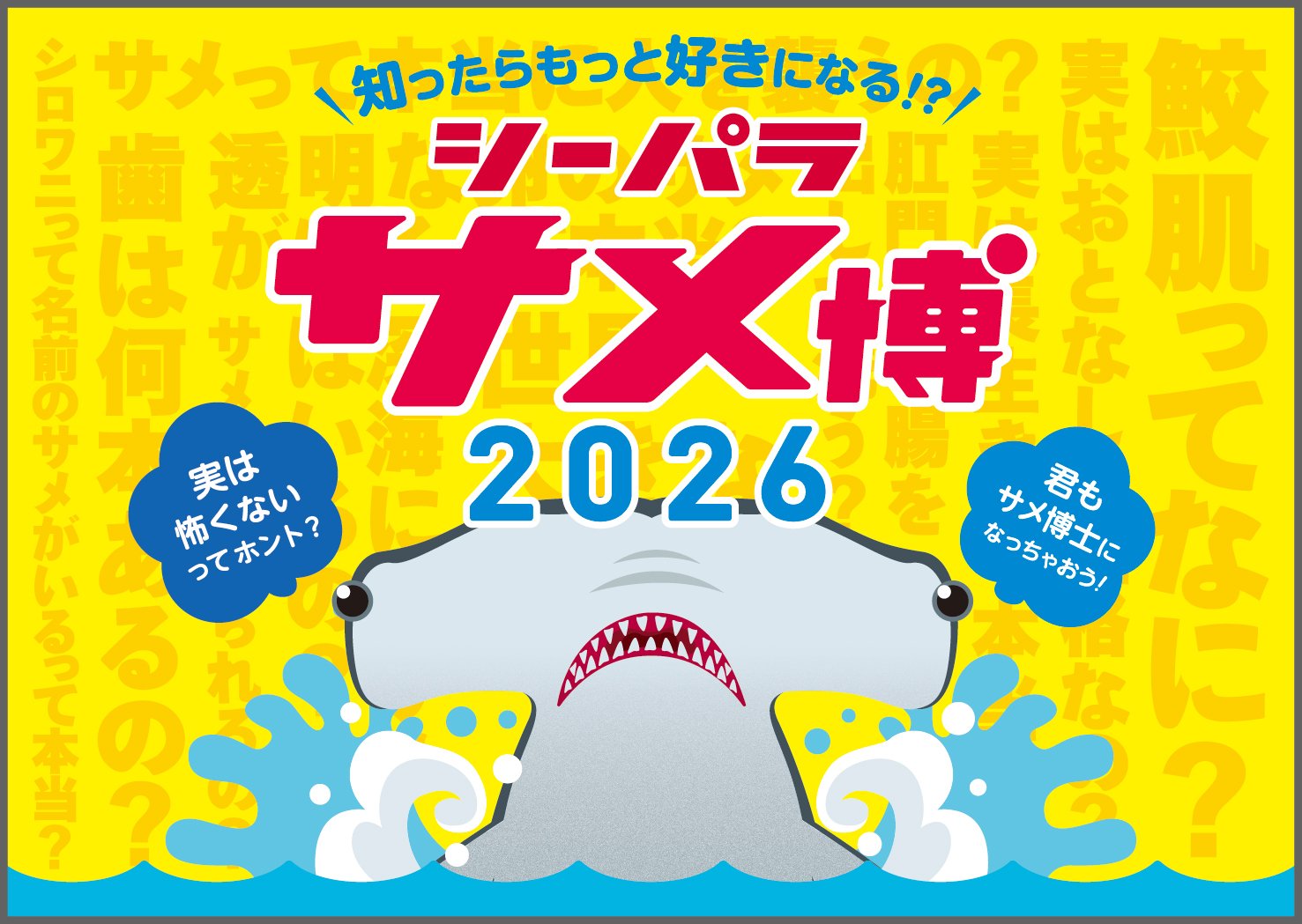 横浜・八景島シーパラダイス】期間限定で水族館「ドルフィン
