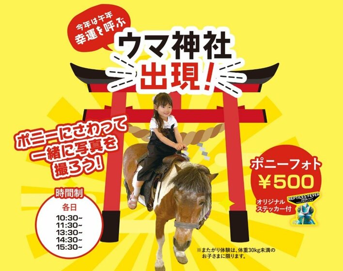うま神社にマイレプ総選挙、駅弁販売まで！関西最大級の爬虫類イベント「レプタイルズフィーバー」に新企画盛りだくさん！大人気生物ライター平坂寛氏のステージも！